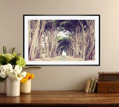 tree-avenue-framed-print-by-lupen-grainne-c